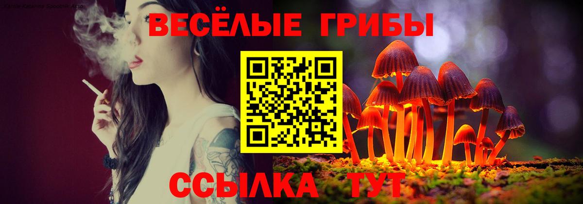 наркота  Галлюциногенные грибы прущие грибы  Псилоцибиновые грибы Cubensis  Вход с VPN  Светлоград 